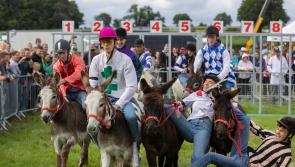 Traffic management measures planned for road close to Clonmel Agricultural Show on Sunday  