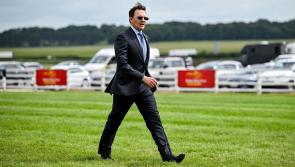 City of Troy is now backed to eclipse all rivals in Sandown feature race
