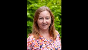 Clonmel arts festival director to step down after six years in charge