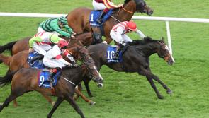 Trainer Andy Slattery signs off a great week with winner after winner 