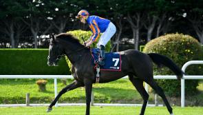 Tipperary trained Auguste Rodin is the favourite for Seventh Group One
