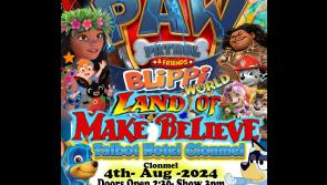 Tipperary hotel to host Paw Patrol kids show during August Bank Holiday Weekend