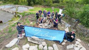 Artists and farmers to come together for unique Tipperary festival