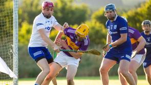 TEAM OF THE WEEK: Premier Intermediate Hurling Championship Round 1