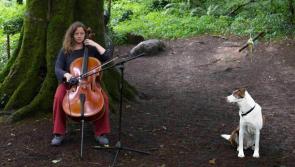 Popular musician to play afternoon show at local Tipperary arts centre
