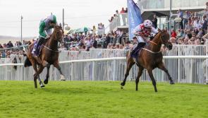 Tipperary winners galore at bumper Galway racing festival 