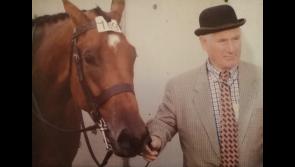 Tipperary horse helps Japan win a medal at the Olympics 