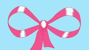 Flag days will support services offered by cancer support centre in Tipperary