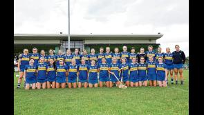 PREVIEW: Tipperary camogie ready for day of reckoning in Croke Park this Sunday