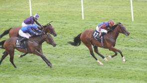 Heavens Gate obliges in the €300,000 Irish EBF Ballyhane Stakes