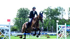 Tipperary entrants galore as the Dublin horse show gets underway today 