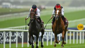 Tipperary trained Queenstown is well backed for Ebor Crown