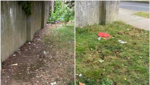 'Good man Davy' - Tipperary councillor takes it 'upon himself' to clean up local mess left by kids
