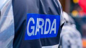 Gardaí arrested third man in connection with fatal stabbing in County Dublin