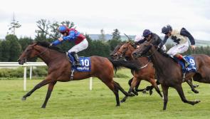  Back-to-back winners for Wayne Lordan as Tipperary trained horses clock up the wins 