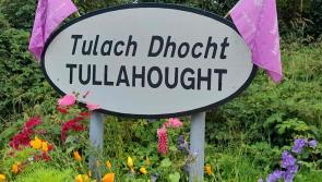 Community near Carrick-on-Suir hosts series of free events for National Heritage Week 