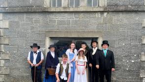 PICTURES: Check out the 'Friends of Bianconi' event in Boherlahan