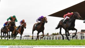 York punters are torn on Tipperary trained Troy as the big race approaches 