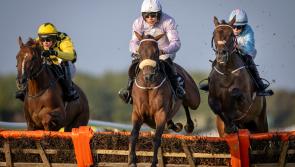 Top few days for Tipperary jockeys and trainers as winners clocked up 