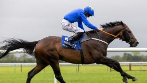 Fantastic day out at Tipperary Races last Sunday with the Denis Hogan-trained Polemon winning big 
