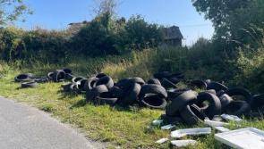 Tipperary councillor issues plea to the public to report illegal dumping in rural areas