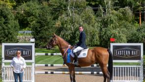 Four star win in Salem for the Irish contenders across the Atlantic 