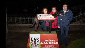 Tipperary trained 'The Other Kobe' impresses again at Curraheen Park 