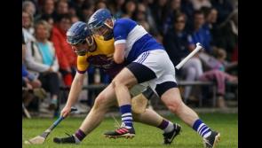 Silvermines fall over the line to win North Junior B hurling title at the expense of Newport