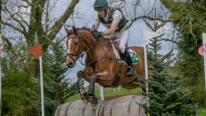 EVENTING: Tipperary joy as P&aacute;draig McCarthy makes history in Blenheim