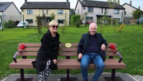 Town park committee in Tipperary celebrates local woman at end of summer party 