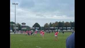 Cashel RFC off to a flyer in the new AIL season with an away bonus point win in Limerick
