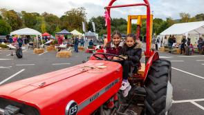 Food, birds, world music, and a harvest fair to feature at a Tipperary festival 
