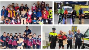 PICTURES: One Teddy Bear's journey through Tipperary and the friends he made along the way