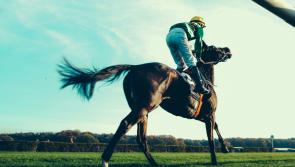 Tipperary Racecourse set to host special race day this weekend