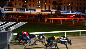 Crafty Shivoo hits top form to claim the BarOne Racing Irish Laurels win