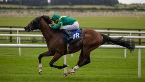 Celebration as Aidan O'Brien and Ryan Moore complete a four-timer at the Curragh 
