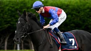 Los Angeles is the big Ballydoyle contender in the Prix de l’Arc de Triomphe 