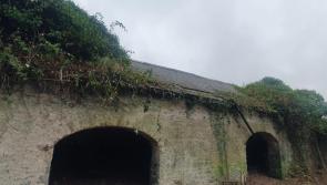 Hedgerows Ireland to stage protest outside Tipperary farm