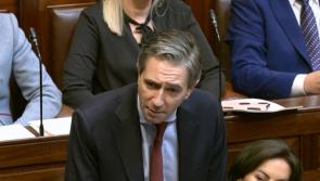 'Let the dog see the rabbit' - Tipperary TD urges Taoiseach to call General Election