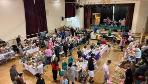 PICTURES: All the fun from a successful village market in Tipperary