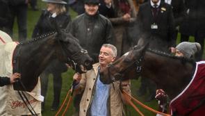 Tiger Roll sure to bring a big roar to the parade at the Munster National
