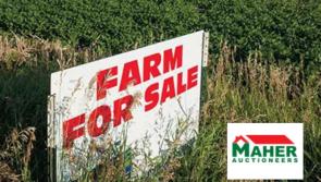 Revealed: Around 50 acres of prime agricultural land to go on sale in Tipperary