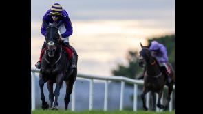 Tipperary jockey rides a 40/1 runaway winner to a chorus of cheers 