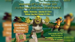 Final rehearsals taking place for Carrick-on-Suir Musical Society's panto SHwREK'D 