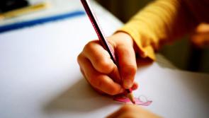'Every child is entitled to an equal education,' Tipperary TD criticises  ASD unit decision