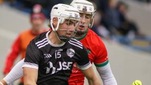 TEAM OF THE YEAR - Premier Intermediate Hurling Championship 2024