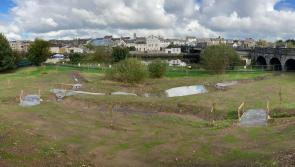 Two Carrick-on-Suir projects aim to reduce pollutants from run off surface water 