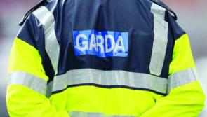 Man arrested after pedestrian rushed to hospital with 'serious injuries' after hit-and-run