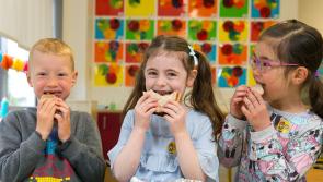 Final call for Tipperary primary schools to join Healthy Heroes initiative
