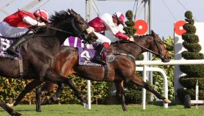 Another winner for Wayne Hassett as he hits another racing milestone!